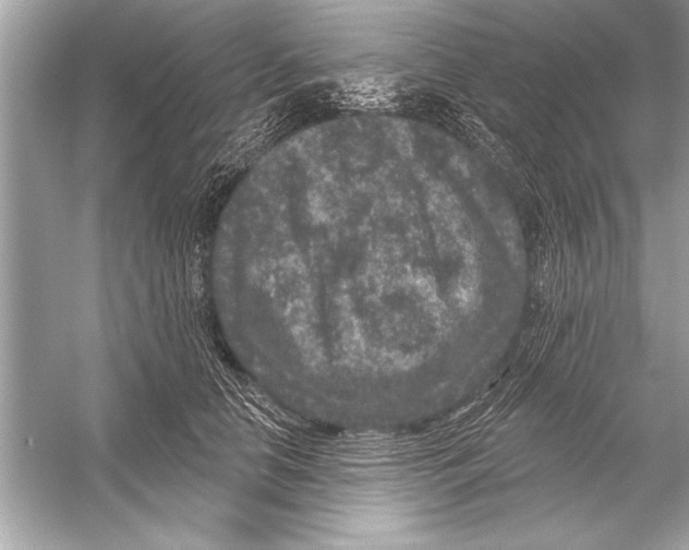 X0000051890658200507222017