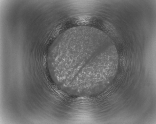 X0000051890660200507222017