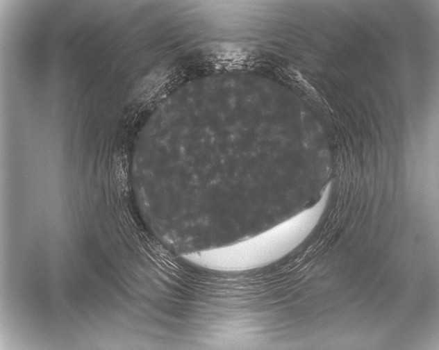 X0000051890661200507222017