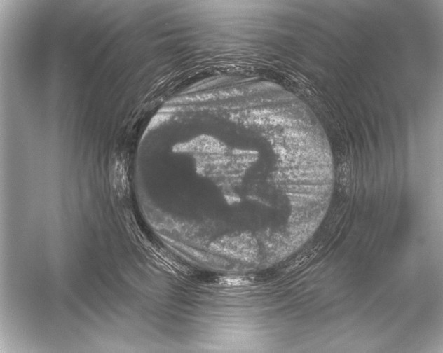 X0000051890662200507222017