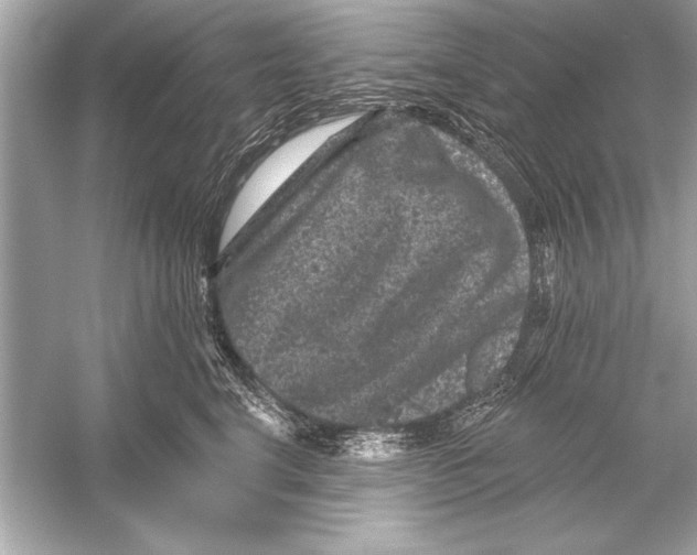 X0000051890664200507222017