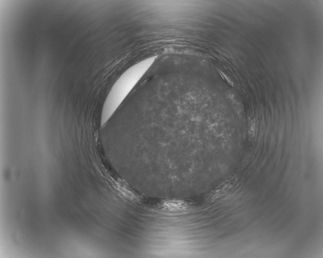 X0000051890666200507222017