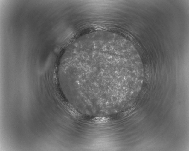 X0000051890667200507222017