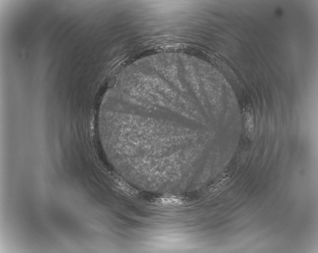 X0000051890668200507222017