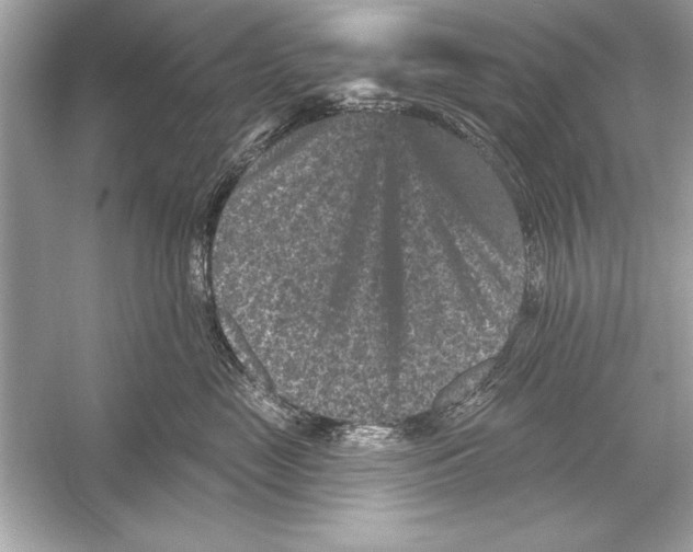 X0000051890669200507222017