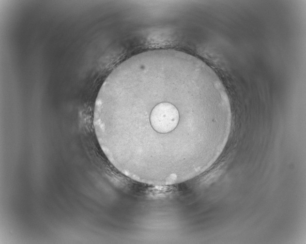 X0000051890672200507222017