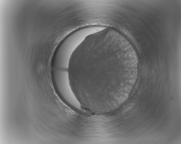 X0000051890673200507222016