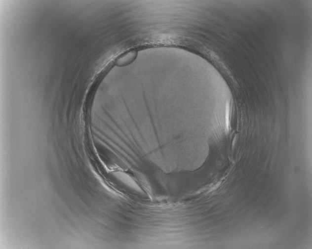 X0000051890674200507222016