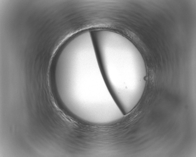 X0000051890676200507222016