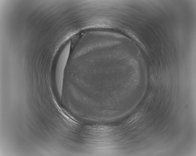 X0000051890677200507222016