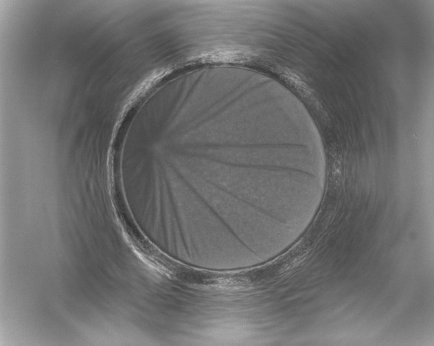 X0000051890678200507222016