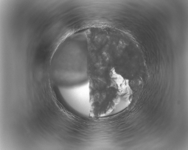 X0000051890679200507222016