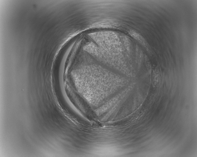 X0000051890680200507222016