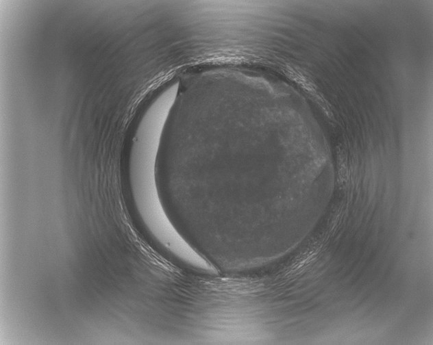 X0000051890681200507222016