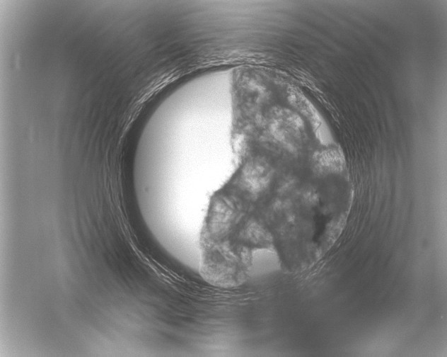 X0000051890683200507222016