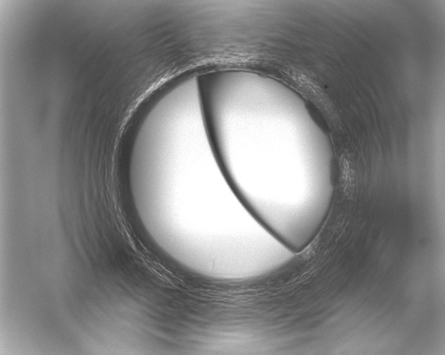 X0000051890684200507222016