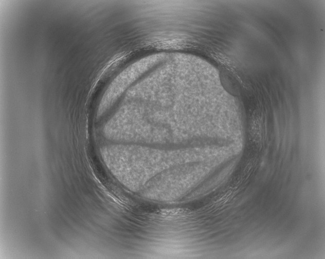 X0000051890686200507222016