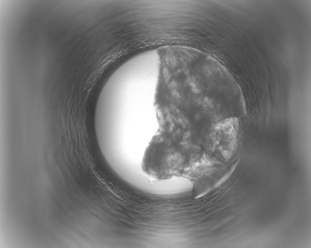 X0000051890687200507222016