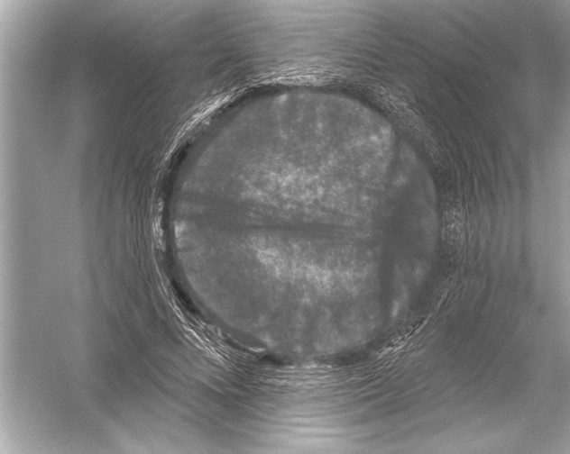 X0000051890688200507222016