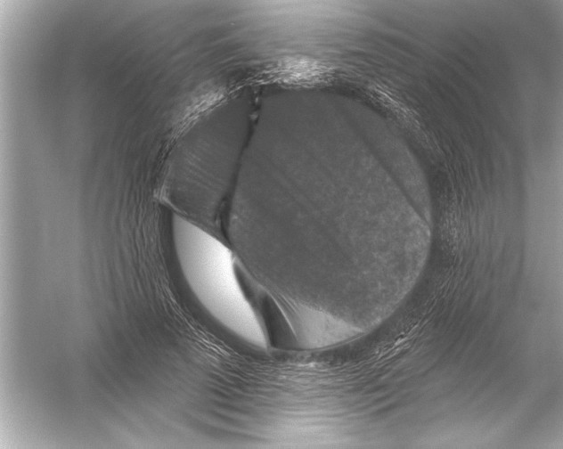 X0000051890689200507222016