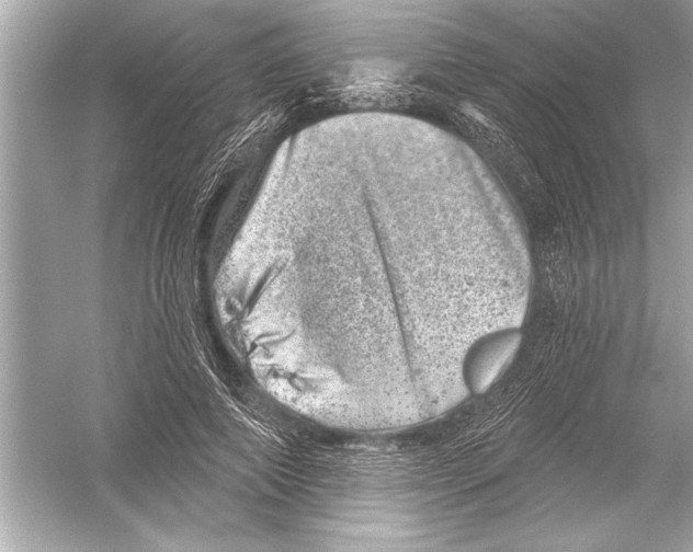 X0000051890690200507222016