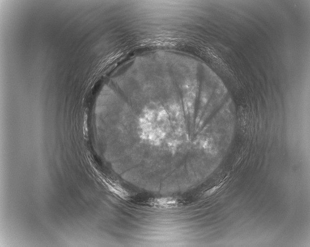 X0000051890692200507222016