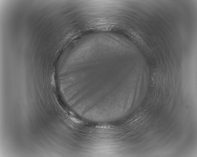 X0000051890693200507222016