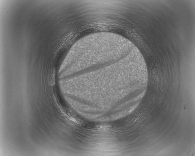 X0000051890694200507222016