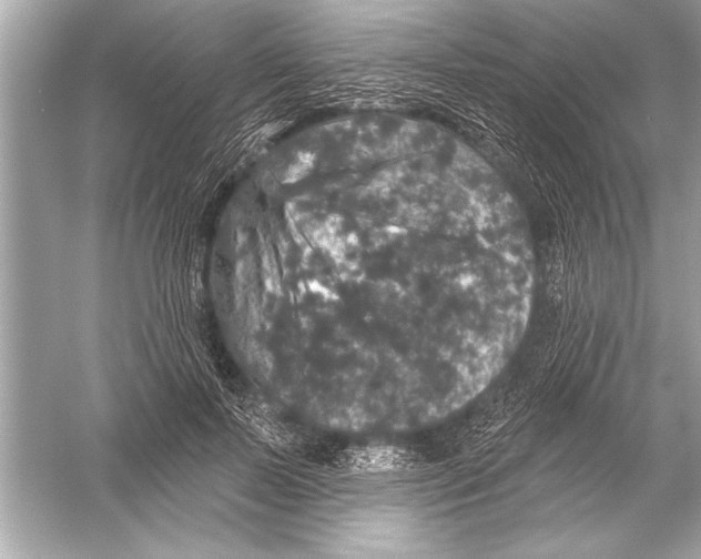 X0000051890695200507222016