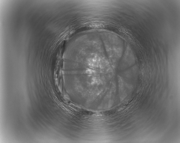 X0000051890696200507222016