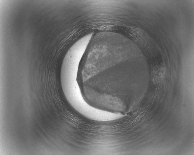 X0000051890697200507222016