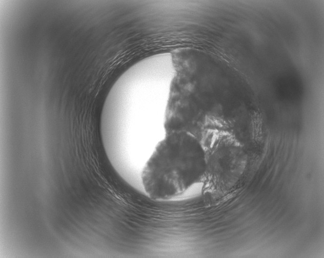 X0000051890699200507222016