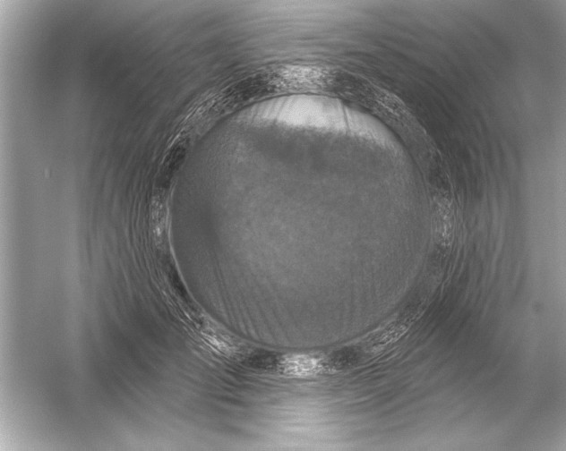 X0000051890701200507222016