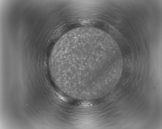 X0000051890702200507222016