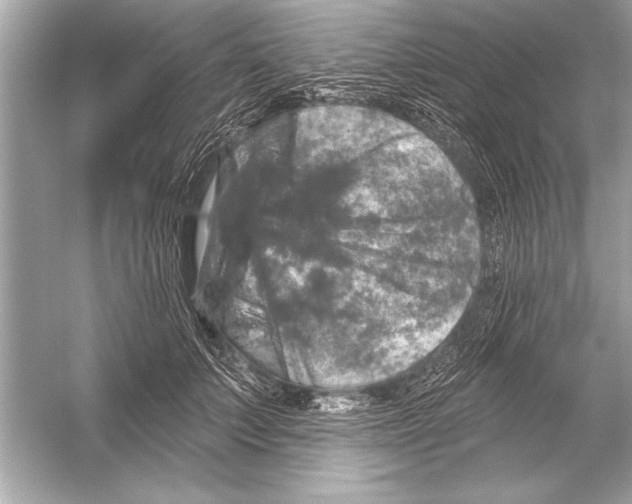 X0000051890703200507222016