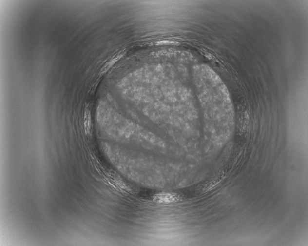 X0000051890704200507222016