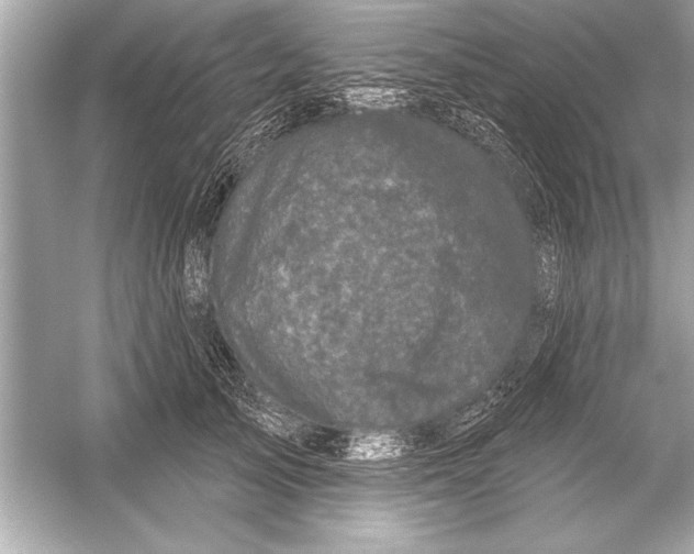 X0000051890705200507222016