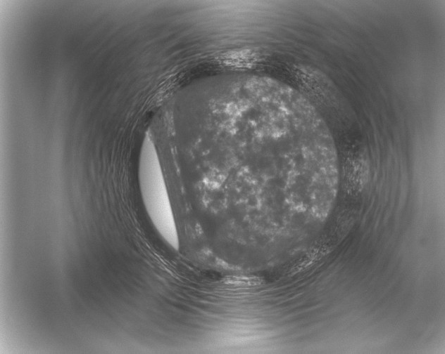 X0000051890707200507222016