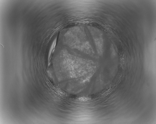 X0000051890708200507222016