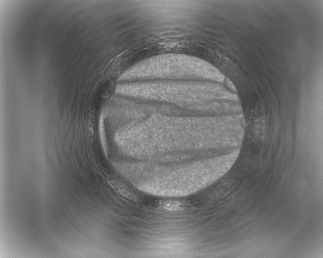 X0000051890710200507222016