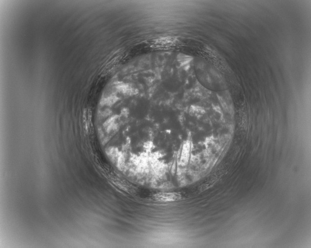 X0000051890711200507222016