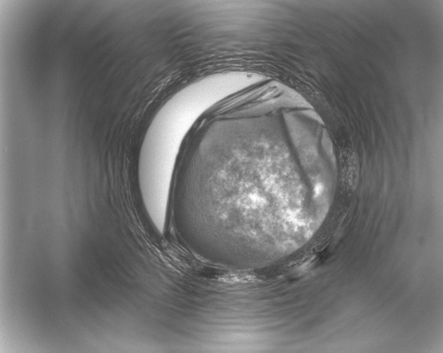 X0000051890712200507222016