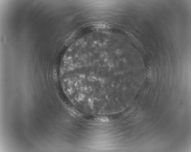 X0000051890715200507222016