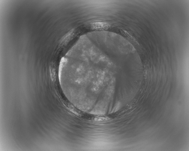 X0000051890716200507222016