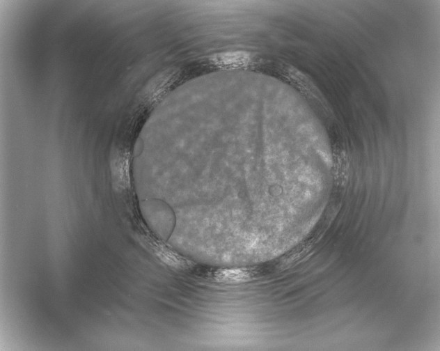 X0000051890717200507222016