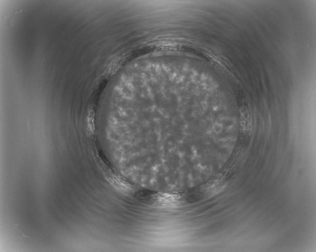 X0000051890718200507222016