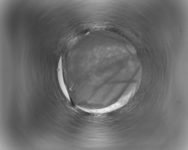 X0000051890720200507222016