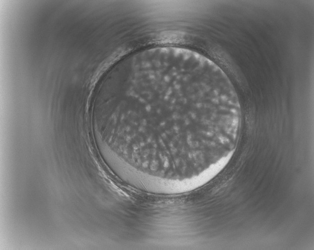 X0000051890721200507222015