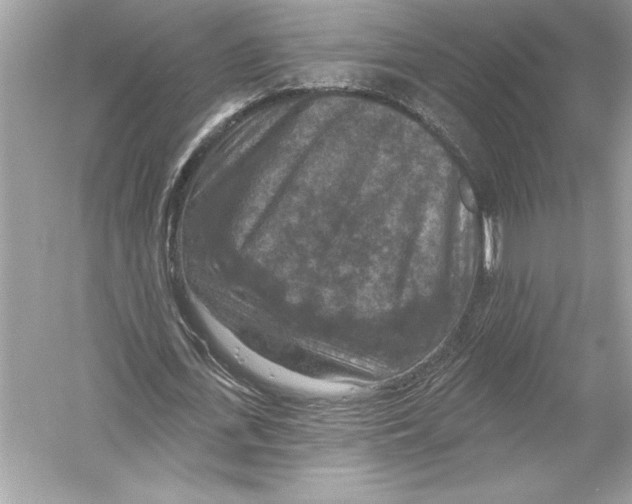 X0000051890723200507222015