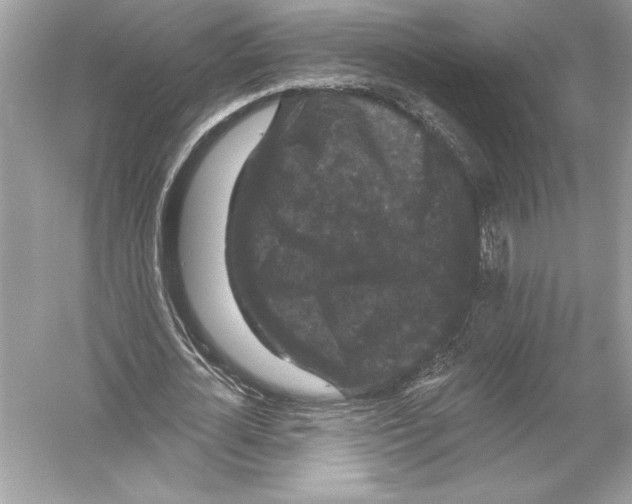 X0000051890724200507222015